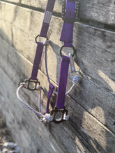 PREORDER Vaquero Halter