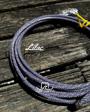 PREORDER Rancher Halter