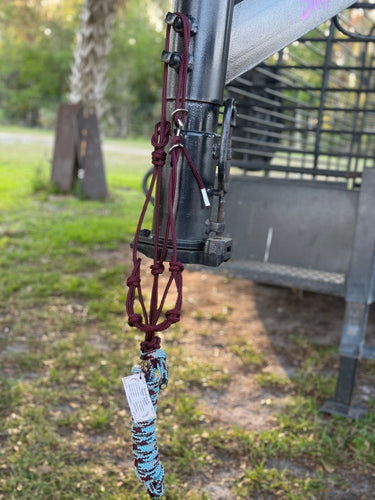 4 Knot Quick Change Halter & Lead Burgundy