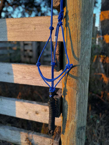 Cobalt Rope Halter