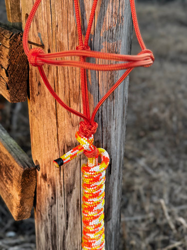 Candy Corn Rope Halter