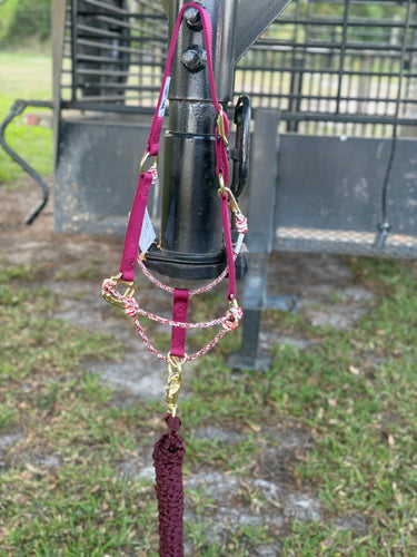 Burgundy Hyper Halter With Lead