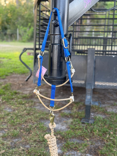 Blue Hyper Halter With Lead