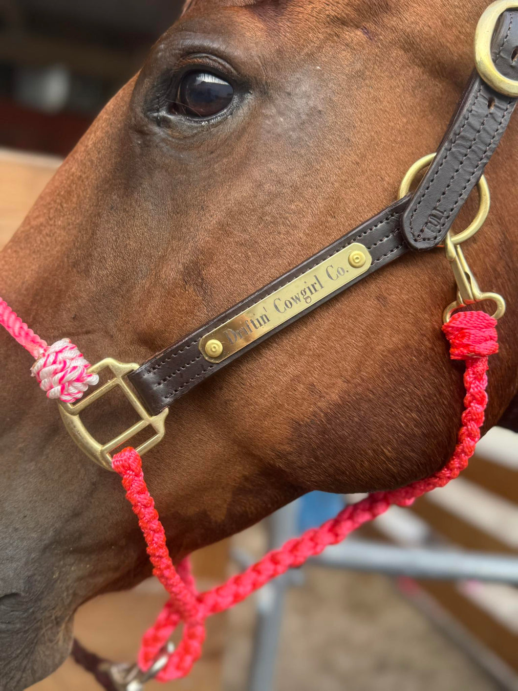 Brass Halter Plate