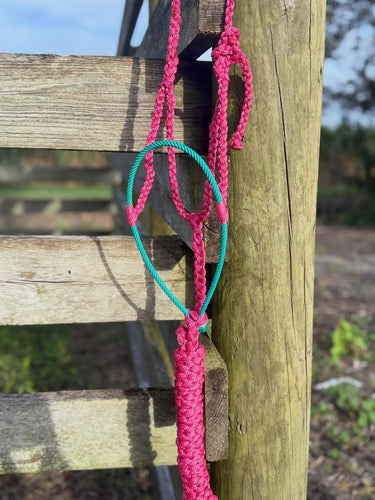 Pink & Turquoise Trailhead
