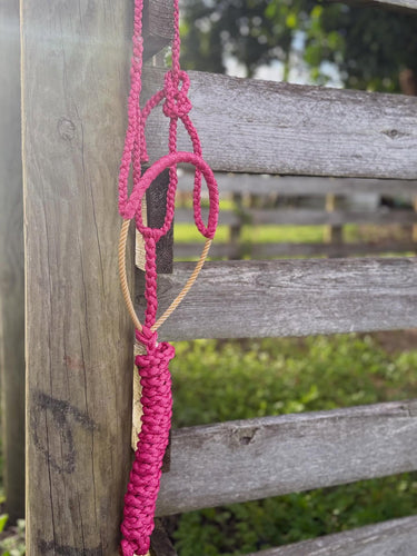 Pink & Tan Trailhead