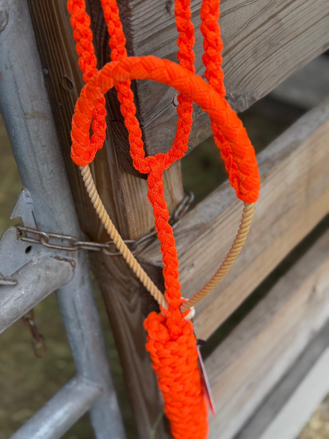 Orange Muletape Halter