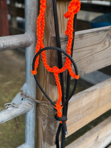 Orange on black