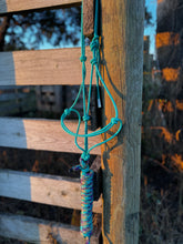 Turquoise Galaxy Rope Halter