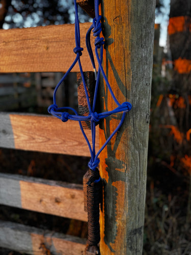 Cobalt Knotted Rope Halter