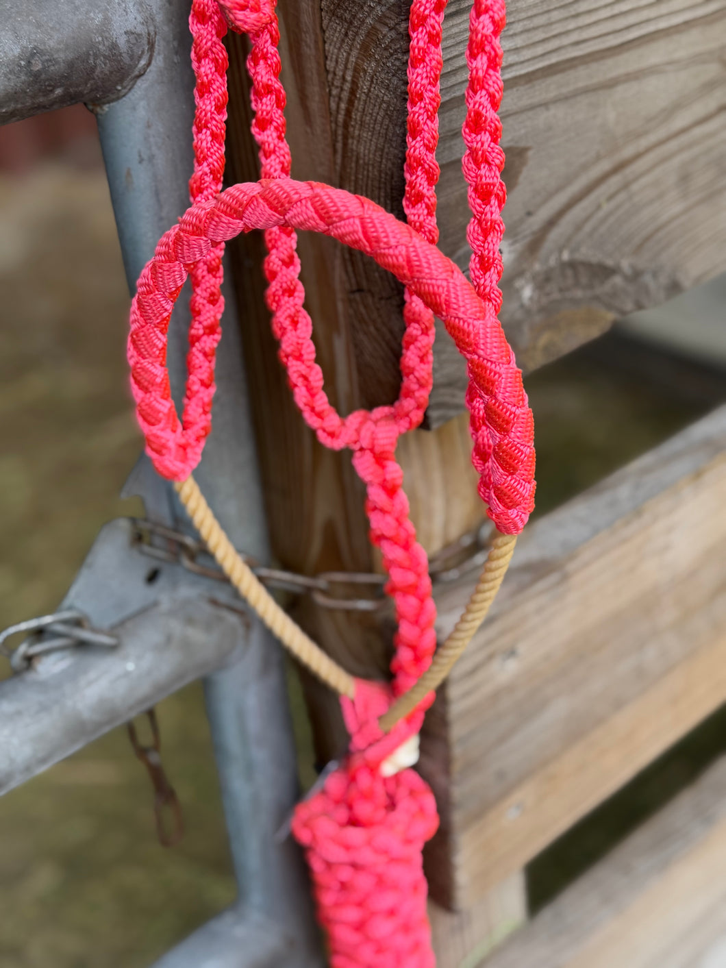 Neon Pink Muletape