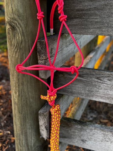 Carribean Sunrise Rope Halter