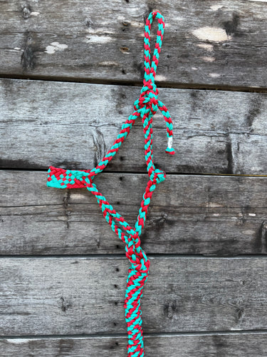 Red & Turquoise Brute Halter