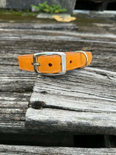 Suede Dog Collar