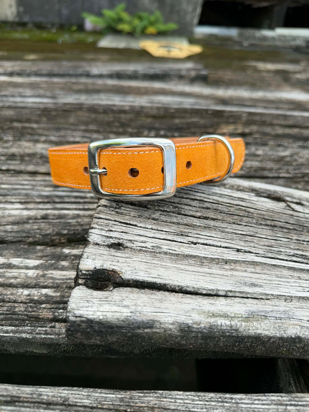 Suede Dog Collar