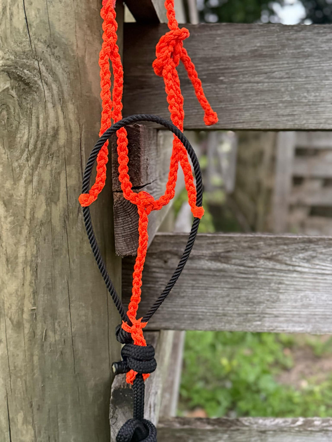 Orange and Black Trailhand (yacht lead)